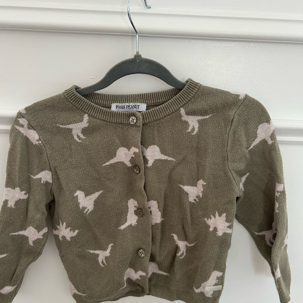 Posh Peanut Kids Dinosaur Sweater - Olive and Cream